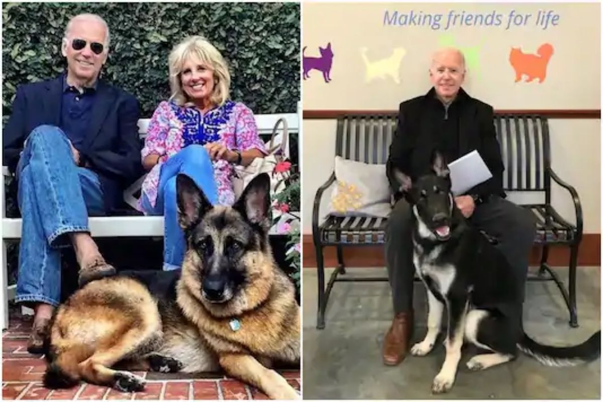 US Election 2020 : जो बायडन यांचा 'मेजर'ही व्हाईट हाऊसमध्ये जाण्याची करतोय तयारी; तो ही रचणार इतिहास