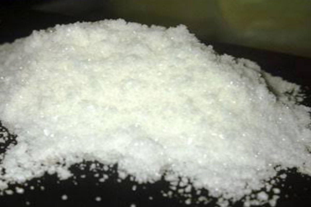 भिवंडीतील गांजा रॅकेटचा पर्दाफाश; मुंबईच्या गुन्हे शाखा विभागाची धडक कारवाई