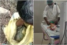 देव तारी त्याला कोण मारी! कचऱ्याच्या ढिगाऱ्यात सोडलेल्या लेकीचं नशीब फळफळलं देव तारी त्याला कोण मारी! कचऱ्याच्या ढिगाऱ्यात सोडलेल्या लेकीचं नशीब फळफळलं