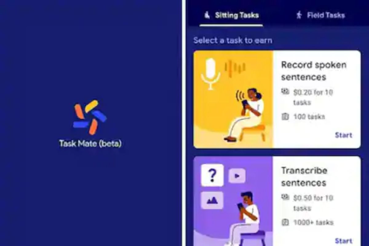 Google चं Task Mate App पाहिलं का? घरबसल्या पैसे कमविण्याची आहे चांगली संधी