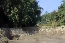 भयंकर! वाघांचा लोकांवर हल्ला, एका उडीत तरुणावर घातली झडप, पाहा थरारक VIDEO भयंकर! वाघांचा लोकांवर हल्ला, एका उडीत तरुणावर घातली झडप, पाहा थरारक VIDEO
