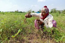 PM Kisan:मोदी सरकारच्या योजनेसाठी 31 मार्चपर्यंत करा नोंदणी, मिळेल दुप्पट फायदा PM Kisan:मोदी सरकारच्या योजनेसाठी 31 मार्चपर्यंत करा नोंदणी, मिळेल दुप्पट फायदा