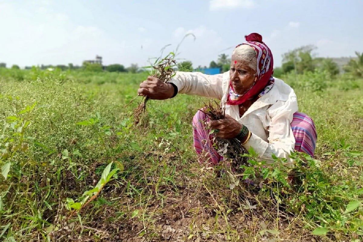 या शेतकऱ्यांना मिळणार नाही लाभ-या योजनेचा लाभ घेण्यासाठी शेतकऱ्यांच्या नावावर त्यांची जमीन असली पाहिजे. जर एखादी व्यक्ती शेती करत असेल, पण त्याच्या नावावर शेतजमीन नसेल तर त्याला या योजनेचा लाभ घेता येणार नाही. त्याचप्रमाणे जर एखादी व्यक्ती शेतकरी आहे पण ती सरकारी कर्मचारी आहे किंवा सरकारी सेवेतून निवृत्त झाला आहे तरी देखील त्याला या योजनेचा लाभ घेता येणार नाही. त्याचप्रमाणे एखाद्या व्यक्तीला मासिक पेन्शन 10 हजार मिळत असेल तरी देखील त्याला या योजनेचा लाभ घेता येणार नाही. या शेतकऱ्यांना मिळणार नाही लाभ-या योजनेचा लाभ घेण्यासाठी शेतकऱ्यांच्या नावावर त्यांची जमीन असली पाहिजे. जर एखादी व्यक्ती शेती करत असेल, पण त्याच्या नावावर शेतजमीन नसेल तर त्याला या योजनेचा लाभ घेता येणार नाही. त्याचप्रमाणे जर एखादी व्यक्ती शेतकरी आहे पण ती सरकारी कर्मचारी आहे किंवा सरकारी सेवेतून निवृत्त झाला आहे तरी देखील त्याला या योजनेचा लाभ घेता येणार नाही. त्याचप्रमाणे एखाद्या व्यक्तीला मासिक पेन्शन 10 हजार मिळत असेल तरी देखील त्याला या योजनेचा लाभ घेता येणार नाही.