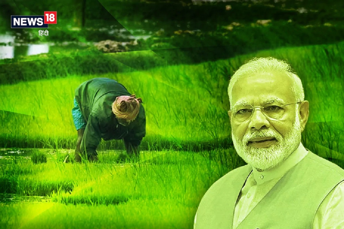 PM-KISAN: उद्या येणार 9 कोटी शेतकऱ्यांच्या खात्यामध्ये 2000 रुपये, असं तपासा या यादीत तुमचं नाव