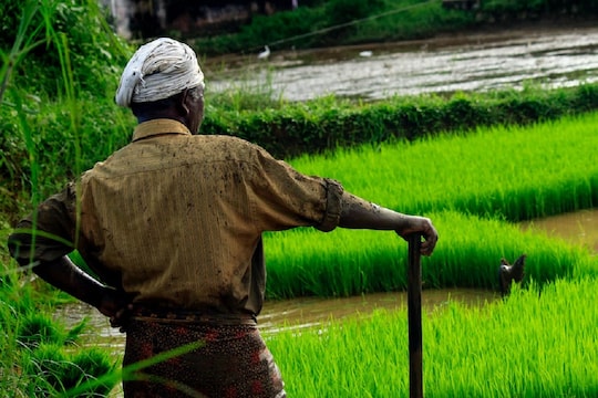 PM Kisan: या दिवसापर्यंत येणार शेतकऱ्यांच्या खात्यात पैसे, पंतप्रधान नरेंद्र मोदींनी दिली माहिती