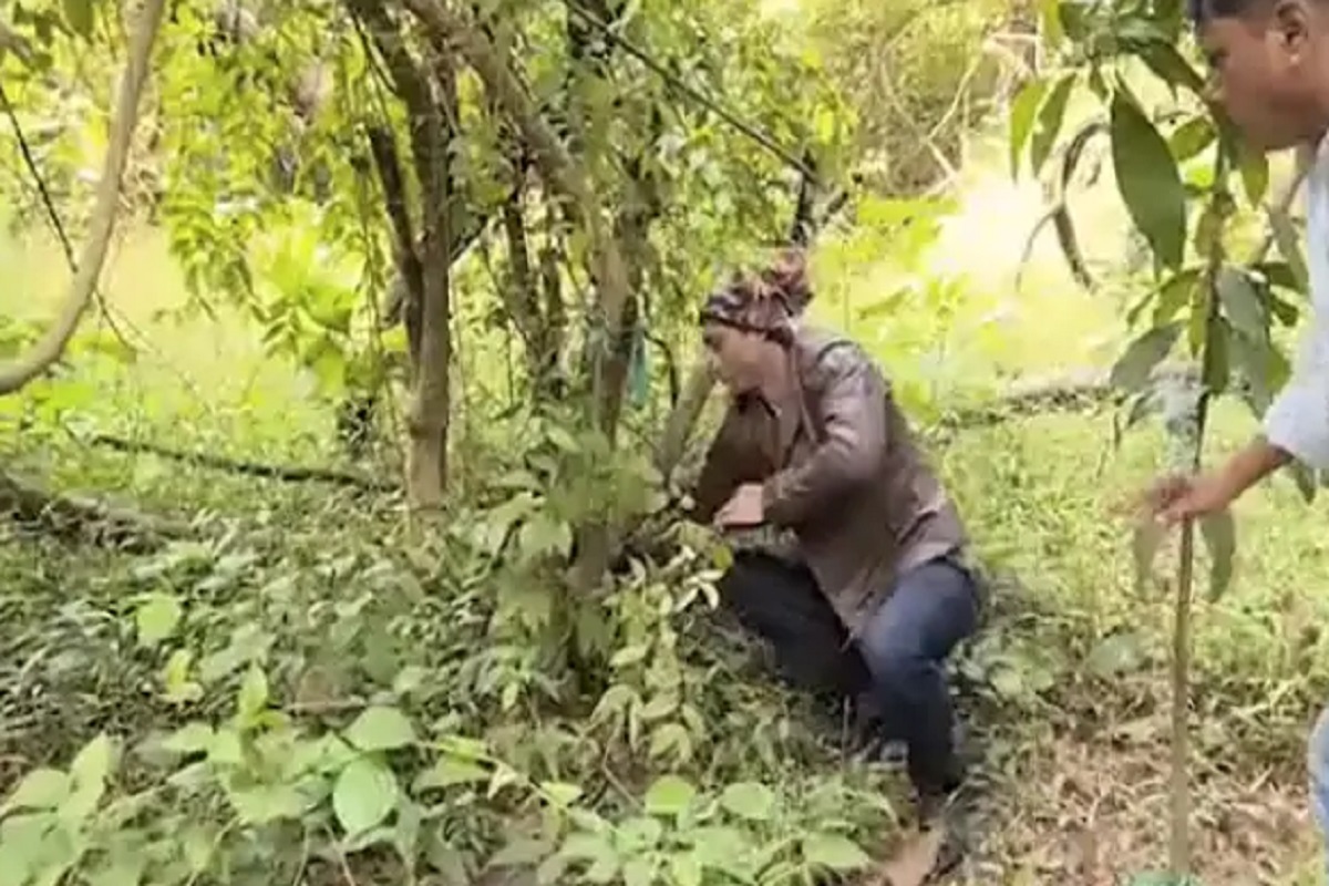 साप पकडता पकडता विद्युत जामवालच्या हातात आलं असं काही; VIDEO पाहून बसेल शॉक