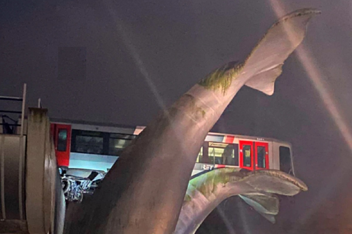 बापरे! स्टेशन सोडून हवेत निघाली मेट्रो, अपघात होणार तेवढ्यात समोर आला व्हेल मासा आणि..