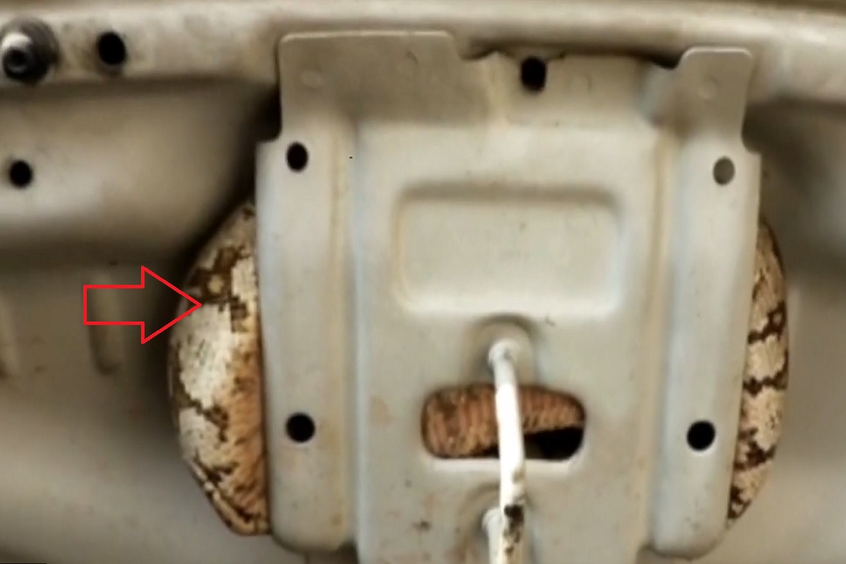 कारचं बोनेट उघडलं आणि चालकाची बोबडीच वळली, नेमकं काय घडलं पाहा थरारक VIDEO