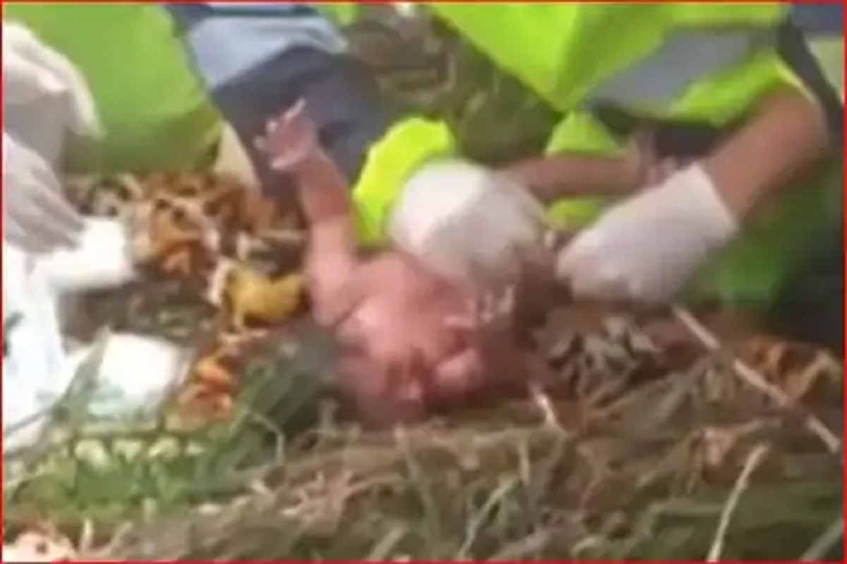 भीषण अपघातात गर्भवती महिलेचं पोट फुटलं अन् जिवंत बाहेर आलं अर्भक, पाहा शहारे आणणारा VIDEO