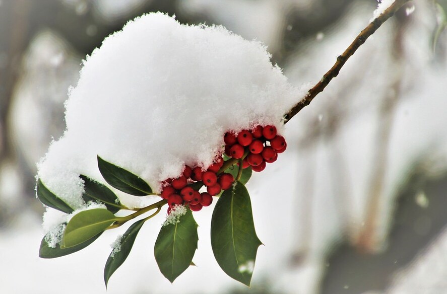 ओइमाकॅन हे रशियातील (Russia) अजून एक थंड (Cold) शहर. हे शहर सायबेरियातील (Siberia) हिमाच्छादित खोऱ्यानजीक वसले आहे. हिवाळ्यात बर्फामुळे येथील जमीन इतकी कठीण होते की जर एखाद्याचा मृत्यू झाला तर दफनविधी करतानाही मोठ्या प्रमाणात अडचणी येतात. सलग दोन ते तीन दिवस खोदकाम केल्यावर दफनविधी करणे शक्य होते. जानेवारीत येथील सरासरी तापमान -50 अंश सेल्सिअस असते. यापूर्वी येथे सर्वात कमी तापमान -71.2 अंश सेल्सिअस नोंदले गेले होते. जुलैत येथे उन्हाळा सुरु होतो. या काळात येथे दिवसाचे तापमान 18.7 अंश सेल्सिअस असते. या कालावधीतच येथील लोक व्यायामासाठी किंवा फिरण्यासाठी बाहेर पडतात. बाकी अन्य वेळी थोडी हालचाल केली तर दम लागून मृत्यू होण्याची शक्यता असते. (सांकेतिक फोटो : Pixabay) ओइमाकॅन हे रशियातील (Russia) अजून एक थंड (Cold) शहर. हे शहर सायबेरियातील (Siberia) हिमाच्छादित खोऱ्यानजीक वसले आहे. हिवाळ्यात बर्फामुळे येथील जमीन इतकी कठीण होते की जर एखाद्याचा मृत्यू झाला तर दफनविधी करतानाही मोठ्या प्रमाणात अडचणी येतात. सलग दोन ते तीन दिवस खोदकाम केल्यावर दफनविधी करणे शक्य होते. जानेवारीत येथील सरासरी तापमान -50 अंश सेल्सिअस असते. यापूर्वी येथे सर्वात कमी तापमान -71.2 अंश सेल्सिअस नोंदले गेले होते. जुलैत येथे उन्हाळा सुरु होतो. या काळात येथे दिवसाचे तापमान 18.7 अंश सेल्सिअस असते. या कालावधीतच येथील लोक व्यायामासाठी किंवा फिरण्यासाठी बाहेर पडतात. बाकी अन्य वेळी थोडी हालचाल केली तर दम लागून मृत्यू होण्याची शक्यता असते. (सांकेतिक फोटो : Pixabay)
