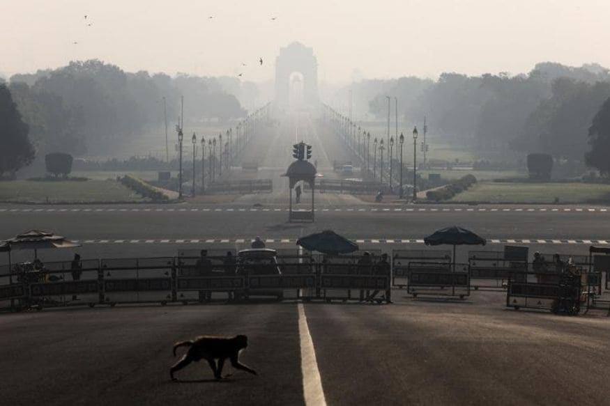 22 मार्चला भारत सरकारने कोरोना संकटाच्या पार्श्वभूमीवर 14 तासांचा जनता कर्फ्यू लावला होता. यावेळी भारताच्या राष्ट्रपती भवनाच्या मार्गावर मोकळा रस्ता पार करताना एक माकड. भारतात 23 तारखेला पहिल्या लॉकडाऊनची(lockdown) घोषणा करण्यात आली होती. Photo: Reuters 22 मार्चला भारत सरकारने कोरोना संकटाच्या पार्श्वभूमीवर 14 तासांचा जनता कर्फ्यू लावला होता. यावेळी भारताच्या राष्ट्रपती भवनाच्या मार्गावर मोकळा रस्ता पार करताना एक माकड. भारतात 23 तारखेला पहिल्या लॉकडाऊनची(lockdown) घोषणा करण्यात आली होती. Photo: Reuters