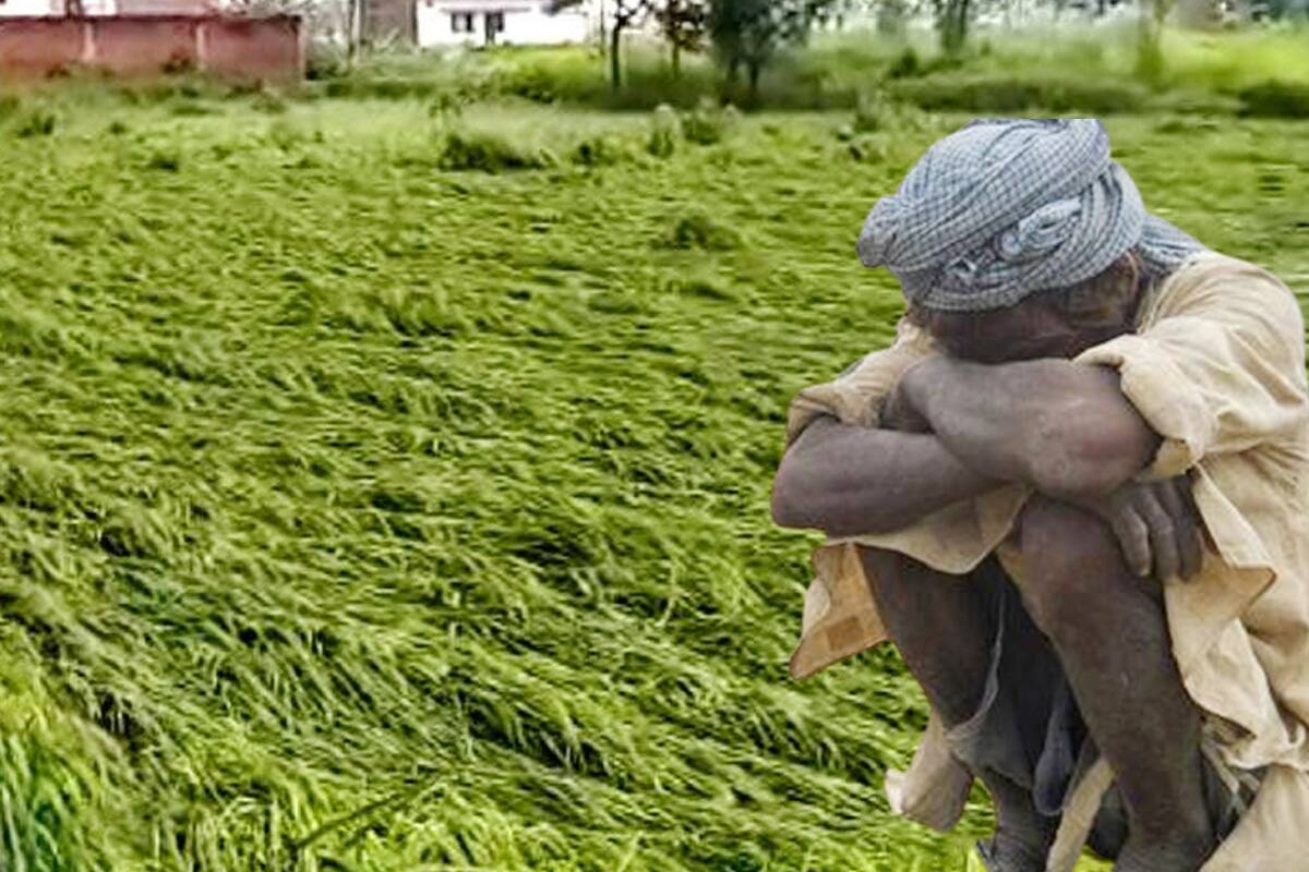शेतकऱ्यांना कठीण काळात मदत करण्याची जबाबदारी सरकारने घेतली असल्याचं सरकारने म्हटलं आहे. शेतकऱ्यांवरील प्रीमियमचा भार हलका व्हावा याकरता सरकारने 'फ्री क्रॉप इन्शूरन्स स्कीम' लाँच केली आहे. याआधी सरकारकडून इन्शोरन्सचा फायदा घेण्यासाठी शेतकऱ्यांना त्यांचा काही हिस्सा द्यावा लागत असे. शेतकऱ्यांना कठीण काळात मदत करण्याची जबाबदारी सरकारने घेतली असल्याचं सरकारने म्हटलं आहे. शेतकऱ्यांवरील प्रीमियमचा भार हलका व्हावा याकरता सरकारने 'फ्री क्रॉप इन्शूरन्स स्कीम' लाँच केली आहे. याआधी सरकारकडून इन्शोरन्सचा फायदा घेण्यासाठी शेतकऱ्यांना त्यांचा काही हिस्सा द्यावा लागत असे.