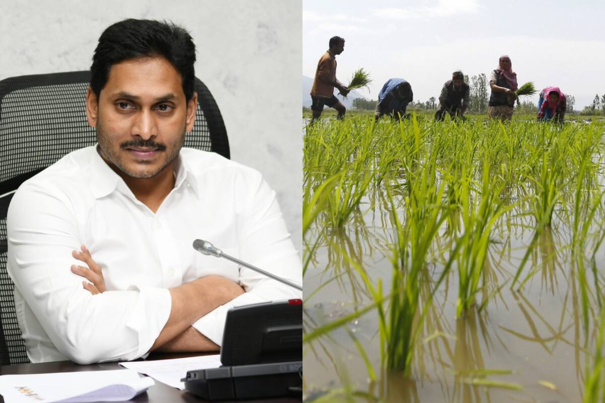 तर आधीच्यी TDP सरकारमध्ये 20 लाख शेतकरी रजिस्टर्ड होते. आमच्या सरकारमध्ये जवळपास 49.80 लाख शेतकऱ्यांंना वीमा कव्हरच्या अखत्यारित आणलं आहे, अशी माहिती मुख्यमंत्र्यांनी दिली. राज्य सरकारने 2019-20 दरम्या प्रीमियम साठी 971 कोटी रुपयांचे देय देण्याची जबाबदारी घेतली आहे. पीकविमा स्वैच्छिक आहे. तर आधीच्यी TDP सरकारमध्ये 20 लाख शेतकरी रजिस्टर्ड होते. आमच्या सरकारमध्ये जवळपास 49.80 लाख शेतकऱ्यांंना वीमा कव्हरच्या अखत्यारित आणलं आहे, अशी माहिती मुख्यमंत्र्यांनी दिली. राज्य सरकारने 2019-20 दरम्या प्रीमियम साठी 971 कोटी रुपयांचे देय देण्याची जबाबदारी घेतली आहे. पीकविमा स्वैच्छिक आहे.