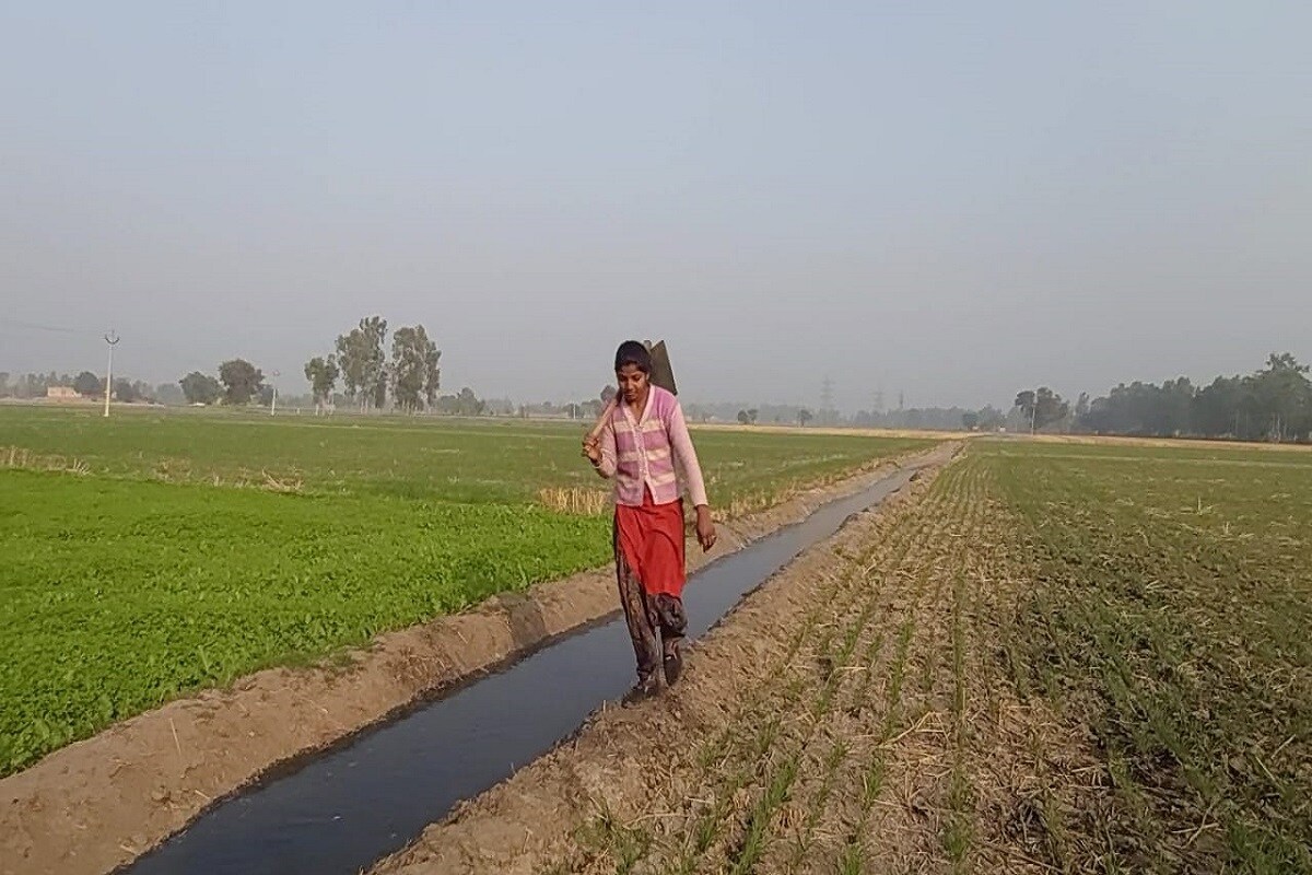 राजधानी दिल्लीमध्ये शेतकऱ्यांचं आंदोलन सुरू आहे. उत्तर भारतातील अनेक राज्यांमधील शेतकरी या आंदोलनात सहभागी झाले आहेत. ज्या वयात अभ्यास करायचा, खेळायचं आणि थंडीच्या दिवसांत रजई ओढून झोपायचं वय असलेल्या या दोन मुलींनी मात्र शेतात कामं करण्यासाठी कंबर कसली आहे. राजधानी दिल्लीमध्ये शेतकऱ्यांचं आंदोलन सुरू आहे. उत्तर भारतातील अनेक राज्यांमधील शेतकरी या आंदोलनात सहभागी झाले आहेत. ज्या वयात अभ्यास करायचा, खेळायचं आणि थंडीच्या दिवसांत रजई ओढून झोपायचं वय असलेल्या या दोन मुलींनी मात्र शेतात कामं करण्यासाठी कंबर कसली आहे.