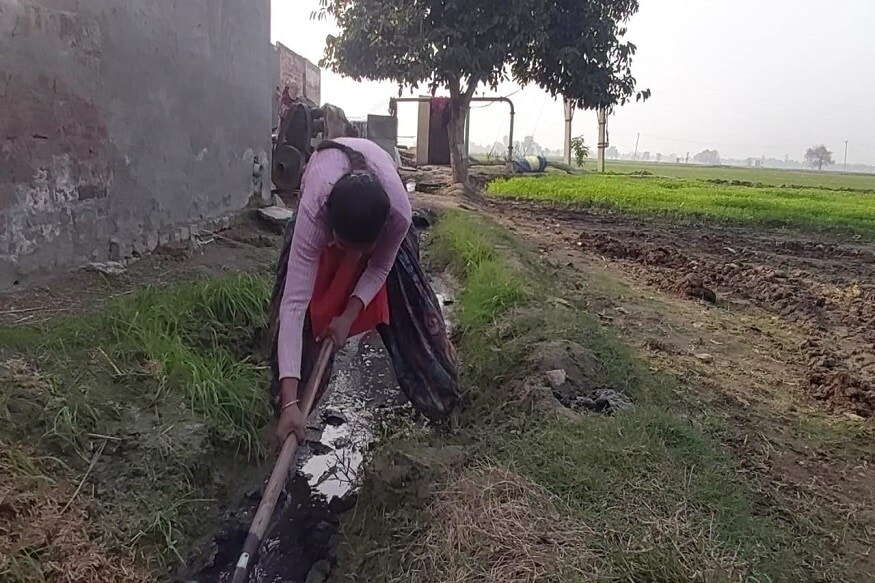 आपले वडील आणि मोठे पुरुष घरी नाहीत ते आंदोलनात आपल्याच हक्कांसाठी लढत आहेत. तर शेतीकडे दुर्लक्ष नको म्हणून शेतकर्यांची मुले शेती हाताळत आहेत. या जबाबदारीत केवळ मुलगेच नव्हे तर मुलीही सिंचनापासून शेतापर्यंत इतर कामे करत आहेत. हरियाणाच्या फतेहाबाद येथील भाटी गावात शेतकरी कुटुंब चळवळीत भाग घेतल्यामुळे अशाच एका कुटुंबातील ही मुलगी आहे जी हातात कुदळ आणि फावडं घेऊन काम करते. आपले वडील आणि मोठे पुरुष घरी नाहीत ते आंदोलनात आपल्याच हक्कांसाठी लढत आहेत. तर शेतीकडे दुर्लक्ष नको म्हणून शेतकर्यांची मुले शेती हाताळत आहेत. या जबाबदारीत केवळ मुलगेच नव्हे तर मुलीही सिंचनापासून शेतापर्यंत इतर कामे करत आहेत. हरियाणाच्या फतेहाबाद येथील भाटी गावात शेतकरी कुटुंब चळवळीत भाग घेतल्यामुळे अशाच एका कुटुंबातील ही मुलगी आहे जी हातात कुदळ आणि फावडं घेऊन काम करते.