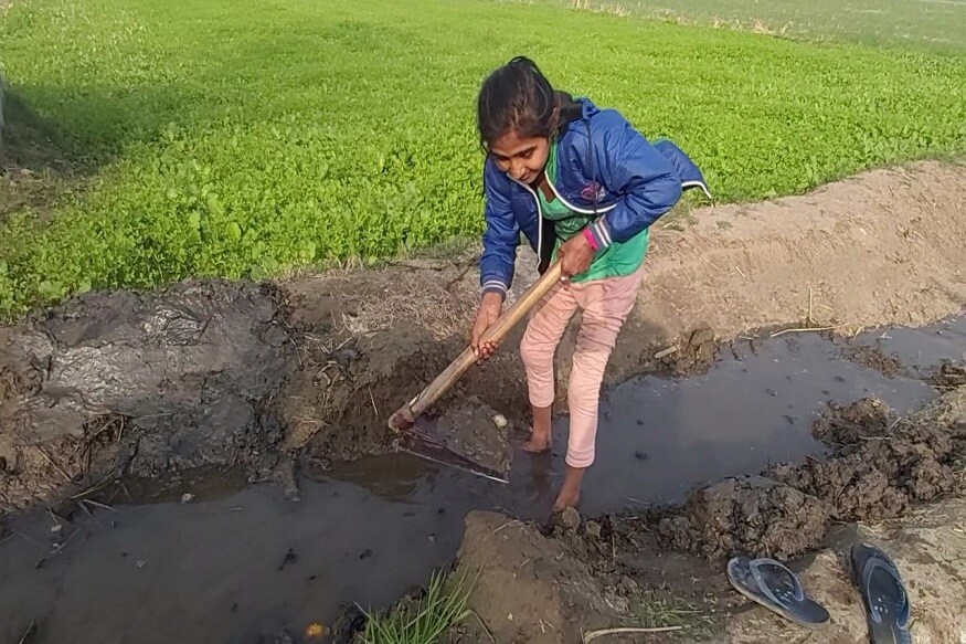 फतेहाबाद गावातील अनेक मुली फवडं आणि कुदळ घेऊन शेतात काम करत असल्याचं दिसत आहे. त्यांचे वडील आणि भाऊ शेतकरी आंदोलनात सहभागी झाले आहेत. सिंचनापासून ते शेताला खत देण्यापर्यंत सगळी कामं या मुली करत आहेत. कडाक्याच्या थंडीतही या मुली डगमगल्या नाहीत तर धीरानं कामाला लागल्या. फतेहाबाद गावातील अनेक मुली फवडं आणि कुदळ घेऊन शेतात काम करत असल्याचं दिसत आहे. त्यांचे वडील आणि भाऊ शेतकरी आंदोलनात सहभागी झाले आहेत. सिंचनापासून ते शेताला खत देण्यापर्यंत सगळी कामं या मुली करत आहेत. कडाक्याच्या थंडीतही या मुली डगमगल्या नाहीत तर धीरानं कामाला लागल्या.