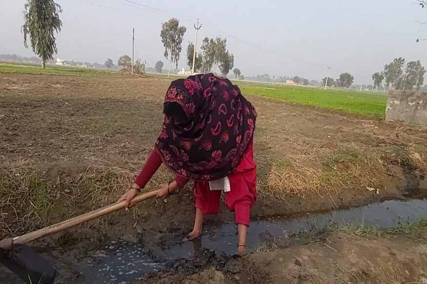शेतात काम करणाऱ्या अन्न आणि विणा राणी म्हणतात की आमचे वडील आणि भाऊ जरी आंदोलनासाठी गेले असले तरी शेतात दुर्लक्ष करू चालणार नाही. पिकाची काळजी घ्यायला हवी आणि ते खराब होऊ नये त्यांची मेहनत वाया जाऊ नये यासाठी आम्ही हे करत आहोत. शेतात काम करणाऱ्या अन्न आणि विणा राणी म्हणतात की आमचे वडील आणि भाऊ जरी आंदोलनासाठी गेले असले तरी शेतात दुर्लक्ष करू चालणार नाही. पिकाची काळजी घ्यायला हवी आणि ते खराब होऊ नये त्यांची मेहनत वाया जाऊ नये यासाठी आम्ही हे करत आहोत.