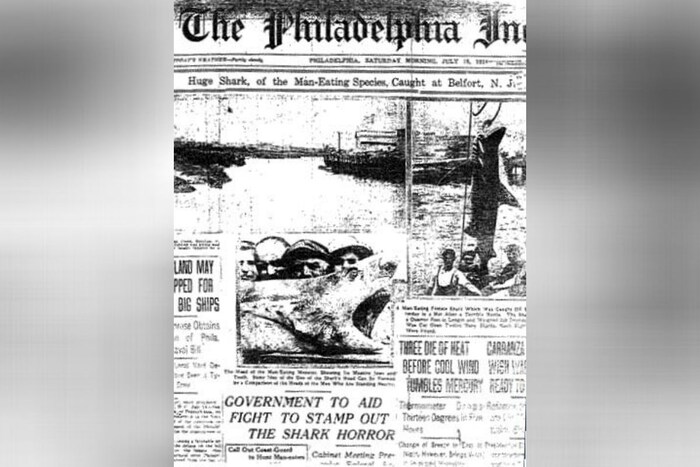 1916 मधी अमेरिकेतल्या जर्सी समुद्र किनाऱ्यावर शार्कचा हल्ला 1916 मध्ये शार्कने केलेल्या या हल्ल्यामध्ये 4 जणांचा मृत्यू झाला होता. या हल्ल्यामध्ये 5 पैकी 4 जणांचा मृत्यू झाला होता. या घटनेवर जॉस नावाचा चित्रपट देखील आला होता. तज्ज्ञांच्या मतानुसार हे काम एका शार्क माशाचे नसून अनेक माशांनी हा हल्ला केला असावा. हा हल्ला इतका भयानक होता कि यामध्ये मृतांचे शरीराचे केवळ काही भाग शिल्ल्क राहिले होते. (फोटो: Oddee.com)