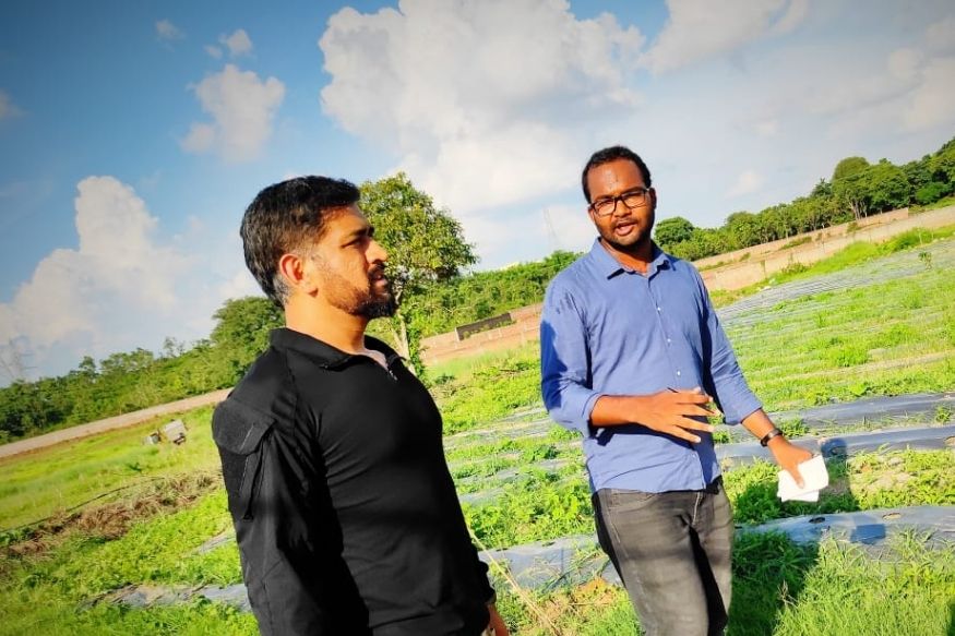 धोनीच्या शेतातला कोबी 10 रुपये किलो, टोमॅटो 30 रुपये किलोने विकला जात आहे. होलसेलमध्ये खरेदी केली तर याची किंमत आणखी कमी आहे. धोनीच्या शेतातला कोबी 10 रुपये किलो, टोमॅटो 30 रुपये किलोने विकला जात आहे. होलसेलमध्ये खरेदी केली तर याची किंमत आणखी कमी आहे.
