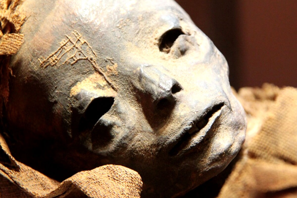 3000 वर्षं जुन्या असलेल्या ममीचा (Mummy) आवाज (Voice) ऐकण्याची किमया साधता आली. इजिप्तमध्ये (Egypt)सापडलेल्या सुमारे तीन हजार वर्षं जुन्या असलेल्या ममीचा आवाज तयार करण्यात शास्त्रज्ञांना जानेवारीत यश आलं. हा आवाज प्राचीन काळी जेव्हा ती व्यक्ती जिवंत असेल, तेव्हाच्या त्या व्यक्तीच्या आवाजाप्रमाणे असेल, असा अंदाज आहे. 3000 वर्षं जुन्या असलेल्या ममीचा (Mummy) आवाज (Voice) ऐकण्याची किमया साधता आली. इजिप्तमध्ये (Egypt)सापडलेल्या सुमारे तीन हजार वर्षं जुन्या असलेल्या ममीचा आवाज तयार करण्यात शास्त्रज्ञांना जानेवारीत यश आलं. हा आवाज प्राचीन काळी जेव्हा ती व्यक्ती जिवंत असेल, तेव्हाच्या त्या व्यक्तीच्या आवाजाप्रमाणे असेल, असा अंदाज आहे.