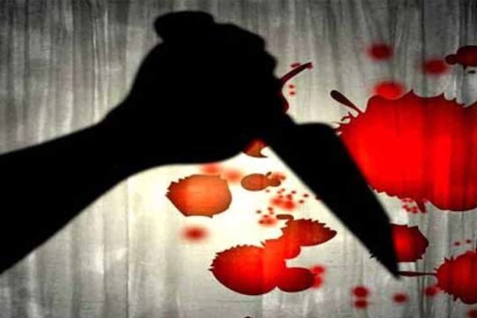  राहुल हा पूर्वीपासून सराईत गुन्हेगार होता.  राहुल मोहिते आणि चुलत भाऊ यांच्याबरोबर जमिनीवरुन नेहमी वाद करत होता. 