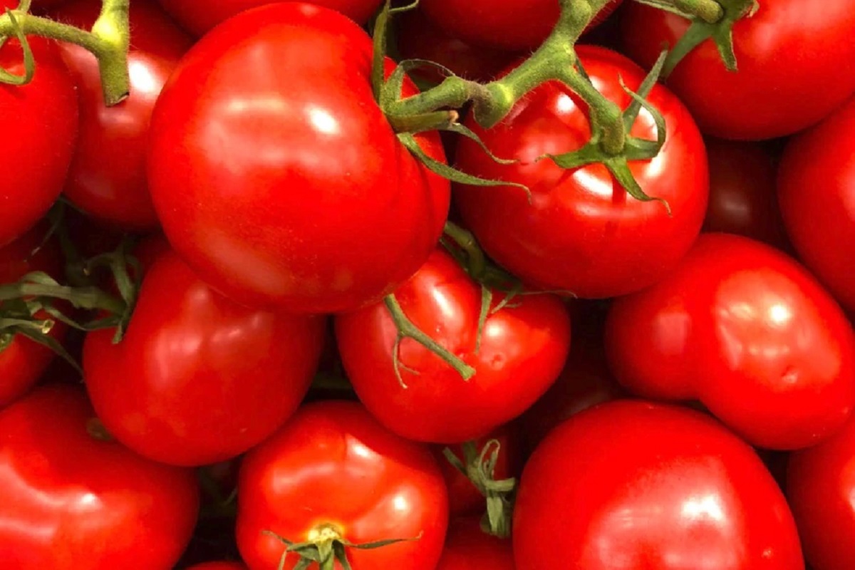 सहजसोपे उपाय करून सुंदर त्वचा मिळवायची आहे? हे टोमॅटोचे फेसपॅक आहेत मस्त