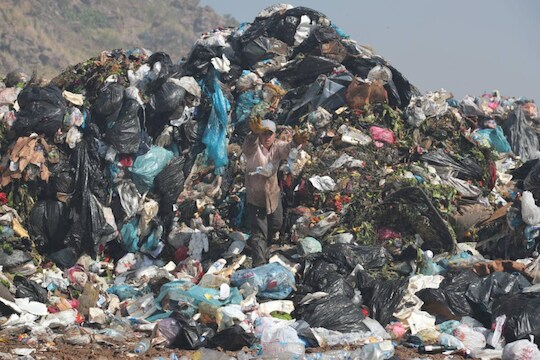 KDMC ची भन्नाट शक्कल! या योजनेतून शहर तर स्वच्छ होईलच पण गरीबांचं पोटही भरेल