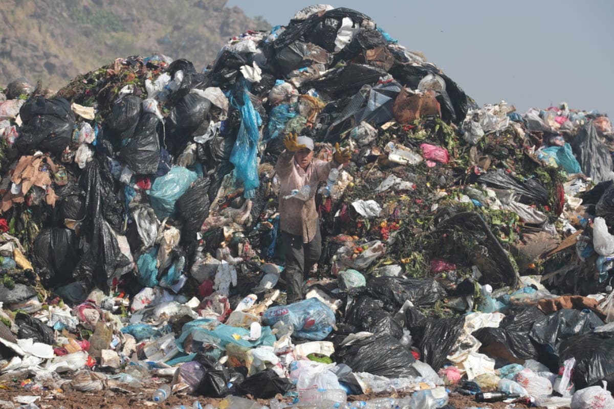 KDMC ची भन्नाट शक्कल! या योजनेतून शहर तर स्वच्छ होईलच पण गरीबांचं पोटही भरेल