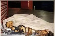 धक्कादायक! 10 वर्षांच्या मुलावर आली कुत्र्यासोबत फुटपाथवर झोपण्याची वेळ धक्कादायक! 10 वर्षांच्या मुलावर आली कुत्र्यासोबत फुटपाथवर झोपण्याची वेळ