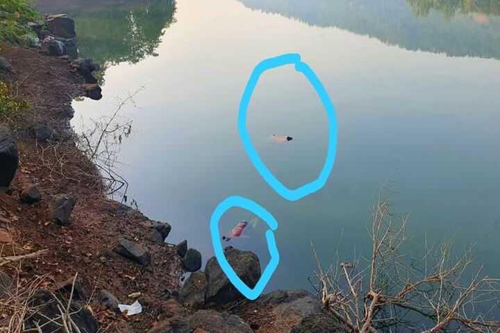 चिपळूण हादरलं, धरणात आढळला आईसह बहिण-भावाचा मृतदेह
