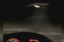 सिंहांचा पाठलाग करता करता थेट तुरुंगात पोहोचले 2 युवक, नेमकं काय घडलं पाहा VIDEO सिंहांचा पाठलाग करता करता थेट तुरुंगात पोहोचले 2 युवक, नेमकं काय घडलं पाहा VIDEO