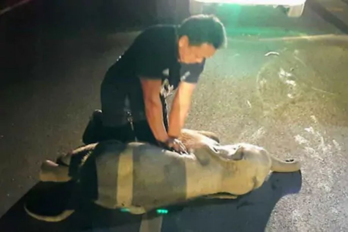 फोटो साभार- रॉयटर्स