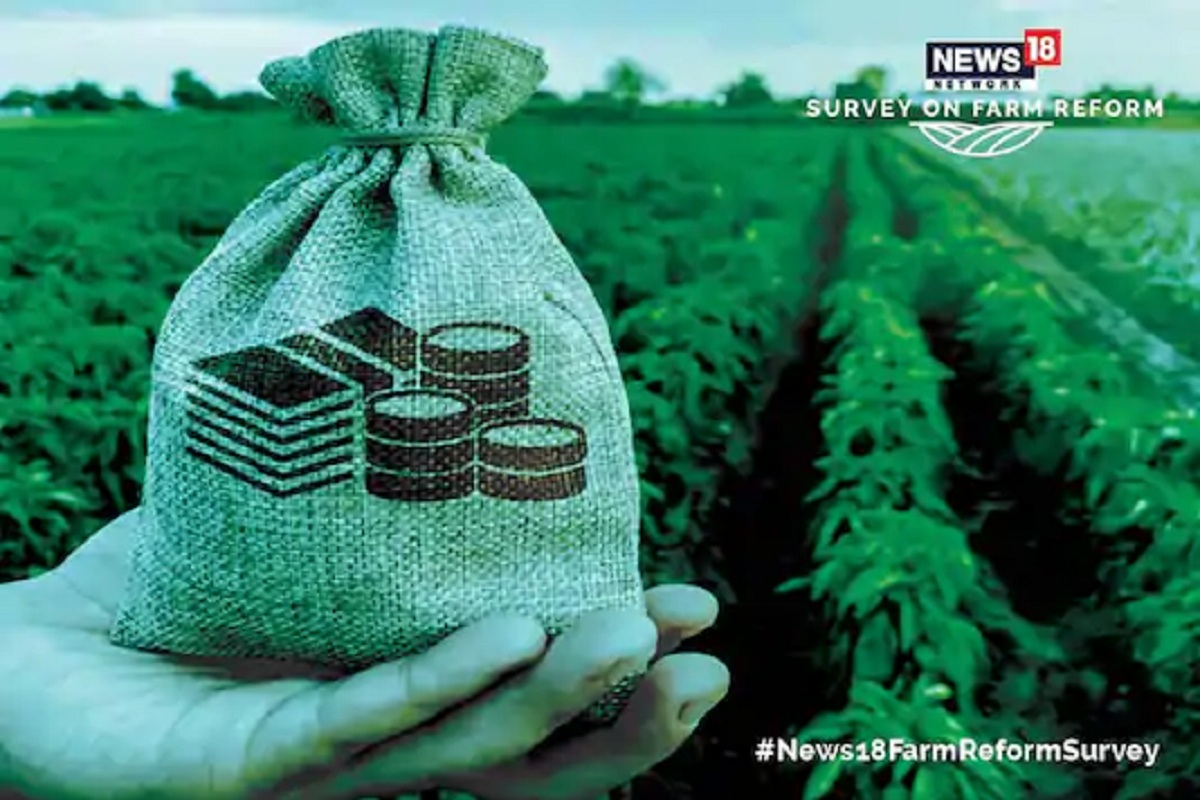 Explainer : Organic Farming करणाऱ्या शेतकऱ्यांनी कसा अगोदरच दिलाय बाजार समित्यांना छेद