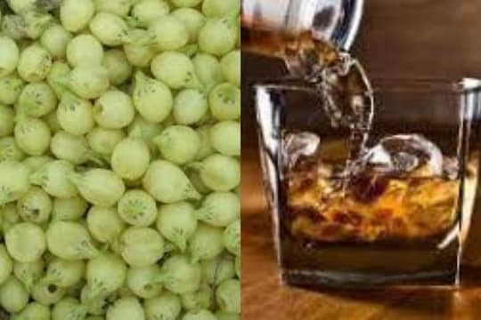 आदिवासी भागातील प्रसिद्ध मोहाच्या दारुचा ब्रँड; या राज्याने तयार केली 'हेरिटेज मदिरा पॉलिसी'