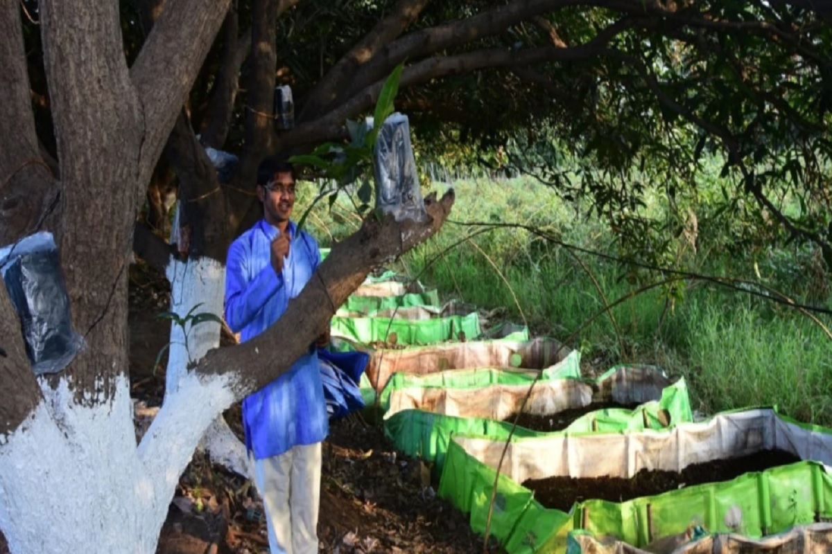 शेतीचा म्युजिकल फंडा, शेतात लावतो गाणी, पिकं येता भारी!