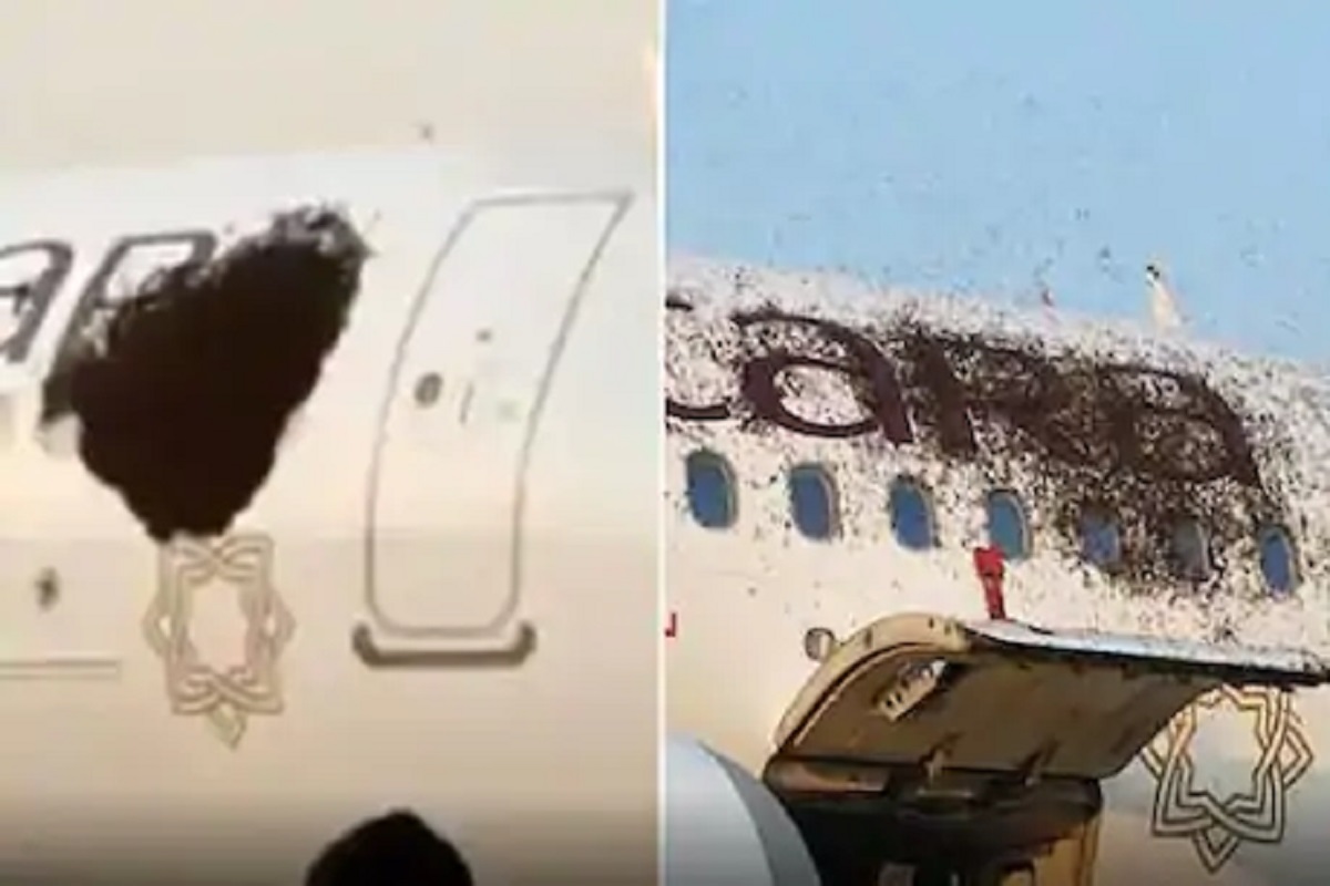 मधमाशांचा विमानावर हल्ला, VIDEO पाहून अंगावर येईल काटा