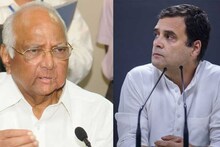 राहुल गांधींवर शरद पवारांचं मोठं वक्तव्य; म्हणाले...
