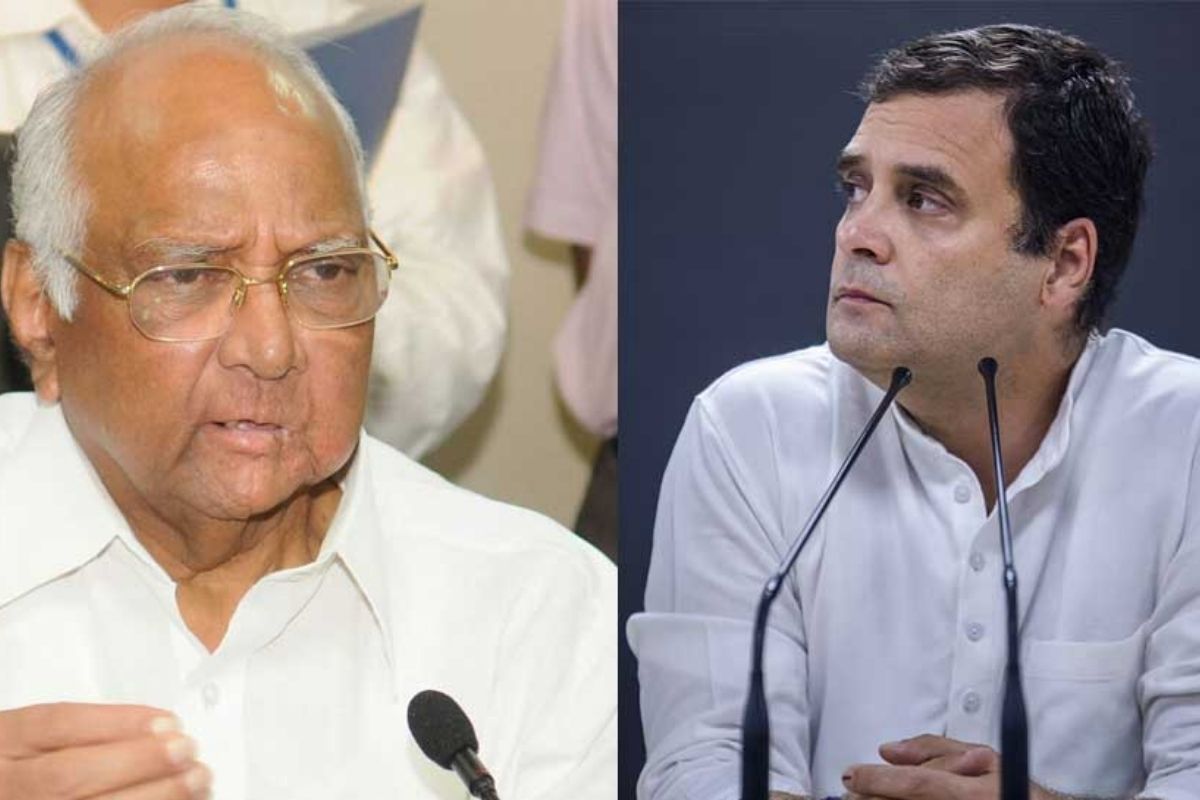 राहुल गांधींवर शरद पवारांचं मोठं वक्तव्य; म्हणाले, राष्ट्रीय नेत्याच्या रुपात 'या' गोष्टीची कमतरता