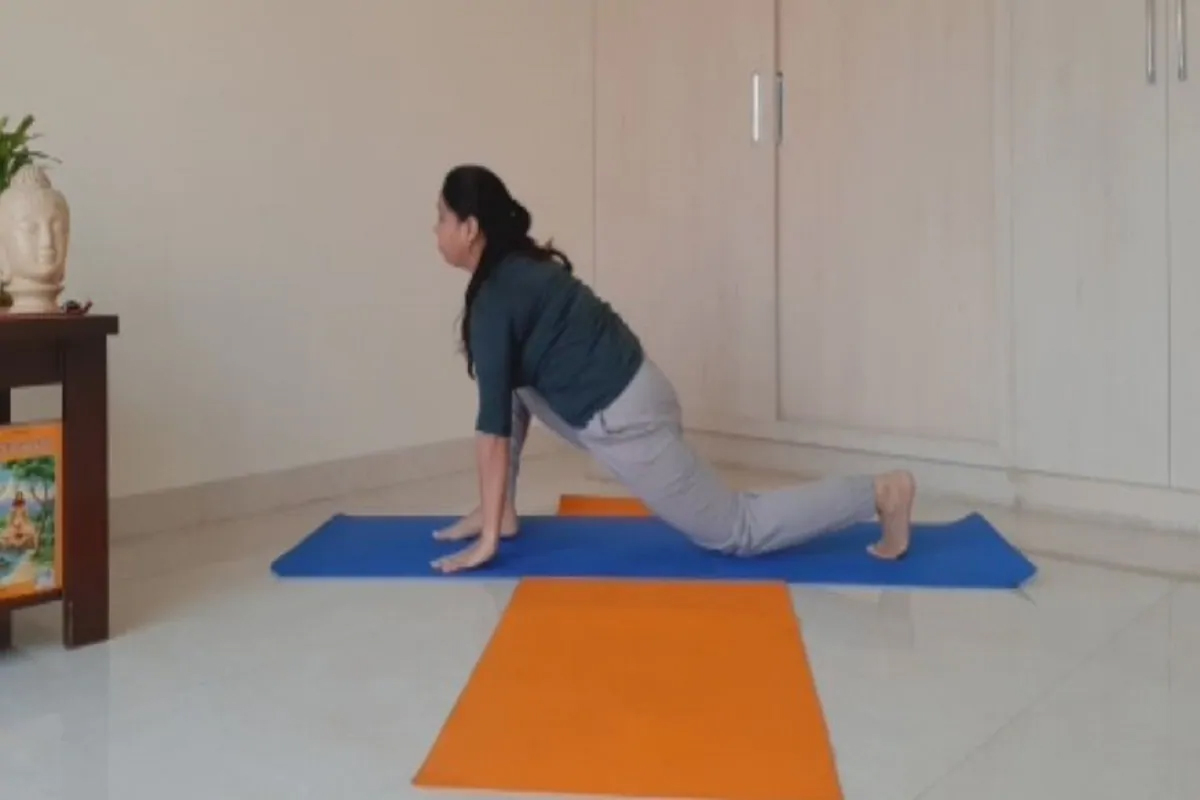 एक सूर्यनमस्कार अनेक आसानं; नियमित कराल तर फिट राहाल