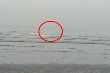 ...आणि समुद्राने गिळली मारुती स्विफ्ट कार, तरुण-तरुणीला मस्ती पडली भारी, VIDEO ...आणि समुद्राने गिळली मारुती स्विफ्ट कार, तरुण-तरुणीला मस्ती पडली भारी, VIDEO