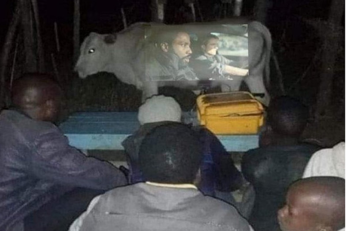 OMG! गायीच्या पोटालाच बनवली स्क्रिन, अख्खा गाव पाहात होता फिल्म