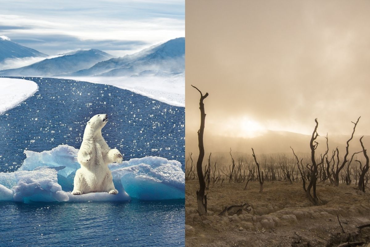 मागील अनेक वर्षांपासून आपल्याला जागतिक तापमानवाढीचा (Global Warming) धोका दिसत आहे. विविध गोष्टींवर याचा परिणाम होत आहे. परंतु अजूनपर्यंत जगभरातील अनेक देशांनी यातून धडा घेतलेला नसून भविष्यात आपल्याला याचे गंभीर परिणाम भोगावे लागू शकतात. अनेक वैज्ञानिकांनी देखील यासंबंधी आपल्याला इशारा दिला असून अनेकठिकाणी याचे परिणाम दिसून येत आहेत. नासाने(NASA) नुकतेच काही फोटो शेअर केले असून यामध्ये जागतिक तापमानवाढीचा विविध गोष्टींवर कसा परिणाम होत आहे हे दिसून येत आहे. आज आपण याच संबंधी काही फोटो पाहणार आहोत.(फोटो: सोशल मीडिया) मागील अनेक वर्षांपासून आपल्याला जागतिक तापमानवाढीचा (Global Warming) धोका दिसत आहे. विविध गोष्टींवर याचा परिणाम होत आहे. परंतु अजूनपर्यंत जगभरातील अनेक देशांनी यातून धडा घेतलेला नसून भविष्यात आपल्याला याचे गंभीर परिणाम भोगावे लागू शकतात. अनेक वैज्ञानिकांनी देखील यासंबंधी आपल्याला इशारा दिला असून अनेकठिकाणी याचे परिणाम दिसून येत आहेत. नासाने(NASA) नुकतेच काही फोटो शेअर केले असून यामध्ये जागतिक तापमानवाढीचा विविध गोष्टींवर कसा परिणाम होत आहे हे दिसून येत आहे. आज आपण याच संबंधी काही फोटो पाहणार आहोत.(फोटो: सोशल मीडिया)