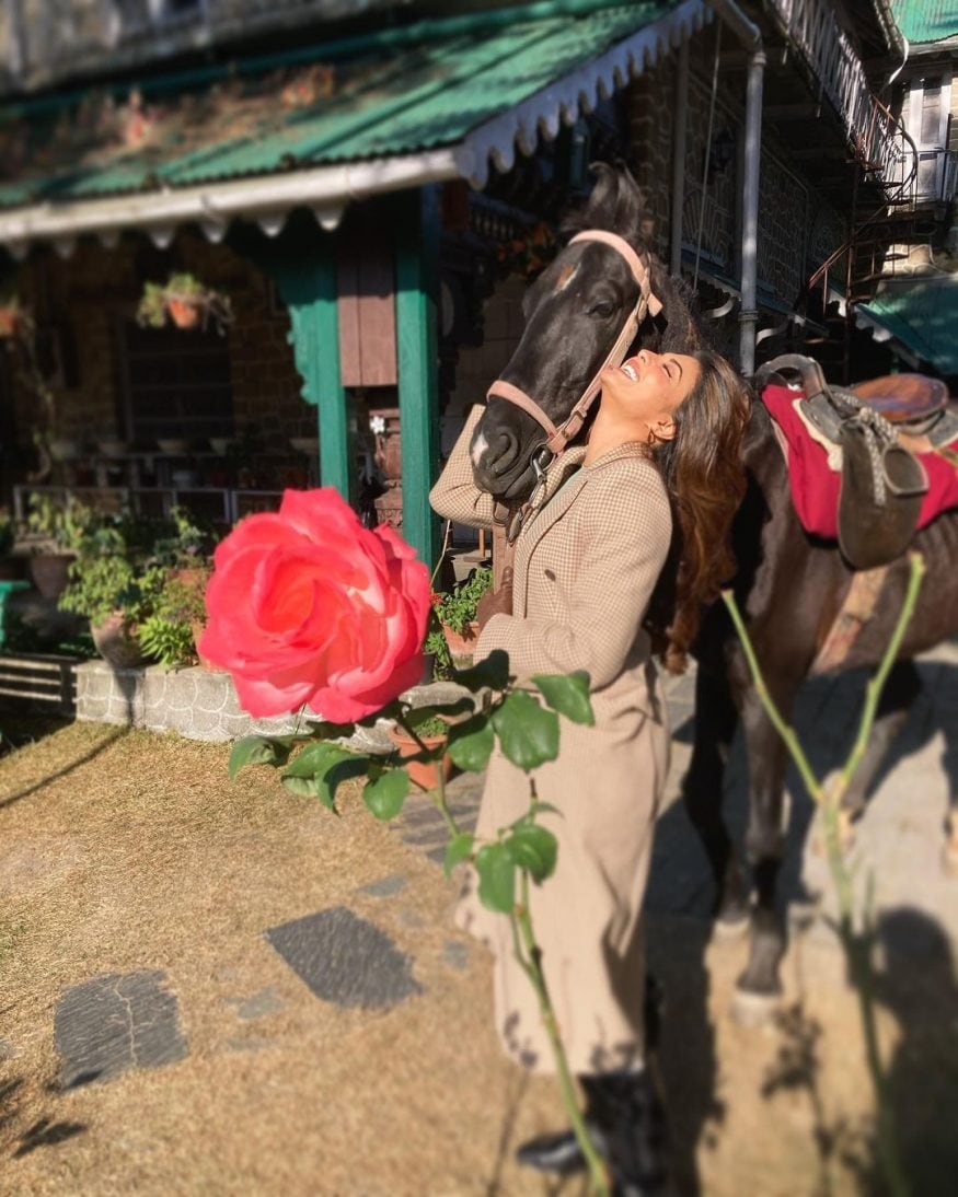एका घोड्याला धरून खळखळून हसणारी जॅकलिन. एका आउट डोअर शूटिंग दरम्यानचा हा फोटो आहे. जॅकलिनचं घोड्यांबद्दलचं प्रेम सर्वश्रुत आहे. त्याचीच प्रचीती इथं येत आहे. (फोटो सौजन्य - Instagram) एका घोड्याला धरून खळखळून हसणारी जॅकलिन. एका आउट डोअर शूटिंग दरम्यानचा हा फोटो आहे. जॅकलिनचं घोड्यांबद्दलचं प्रेम सर्वश्रुत आहे. त्याचीच प्रचीती इथं येत आहे. (फोटो सौजन्य - Instagram)
