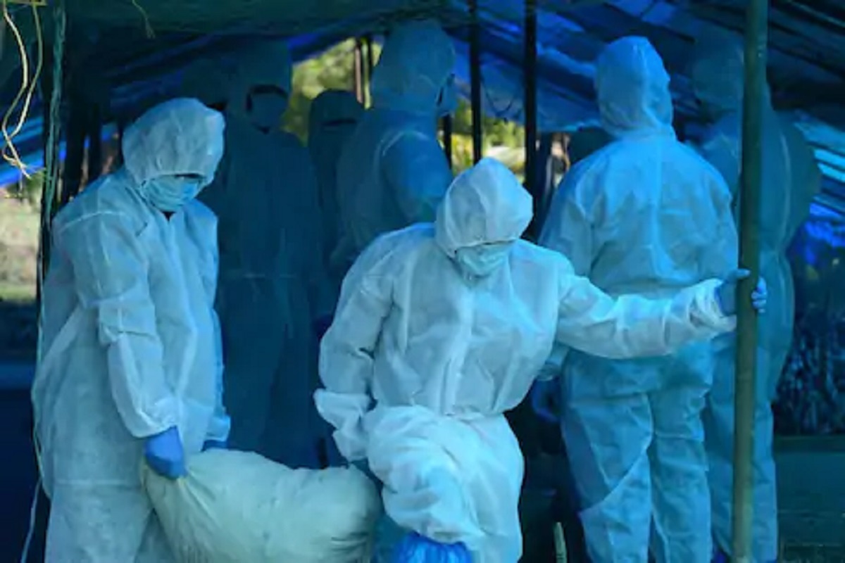 कोरोनानंतर बर्ड फ्लूचं 7 राज्यांमध्ये मोठं संकट, या राज्यानं 30 हजार पक्षी ठार मारण्याचे दिले आदेश