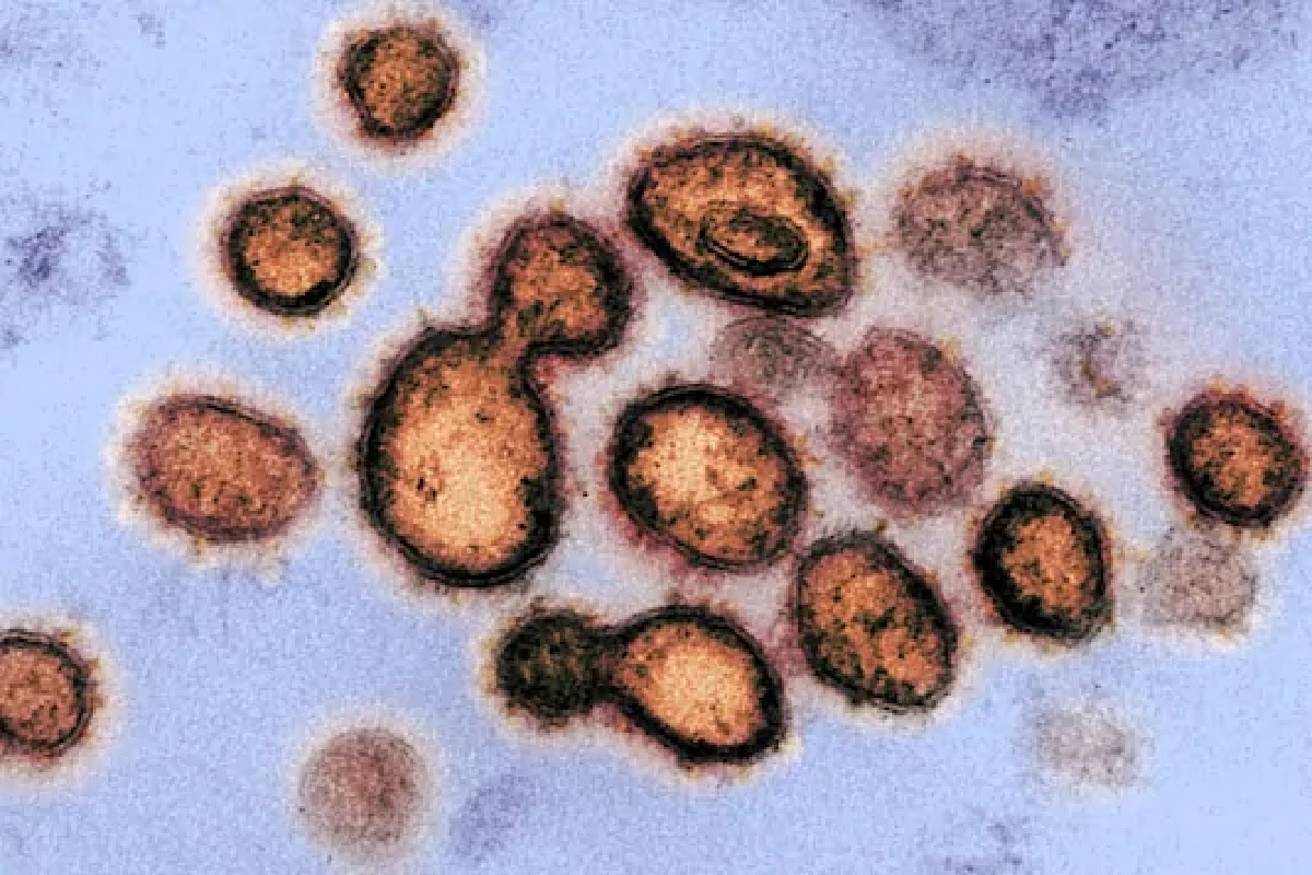 Covid 19 Network18 lokmat