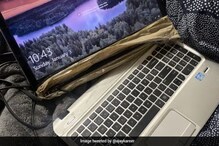 'दादा'ने बहिणीला दिलं सरप्राईज गिफ्ट; राखीपौर्णिमेच्या आमंत्रणाने भाऊ हैराण 'दादा'ने बहिणीला दिलं सरप्राईज गिफ्ट; राखीपौर्णिमेच्या आमंत्रणाने भाऊ हैराण