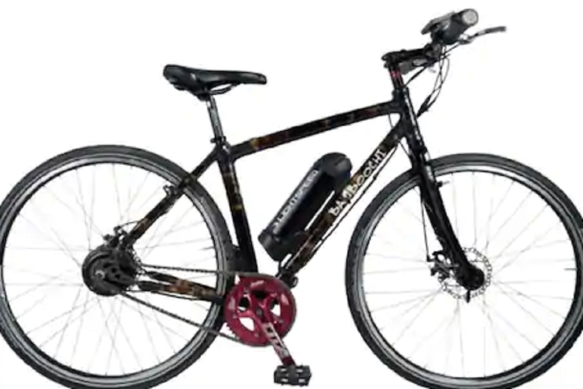 बांबूपासून तयार केलेली Made In India ई-सायकल; जाणून घ्या फीचर्स