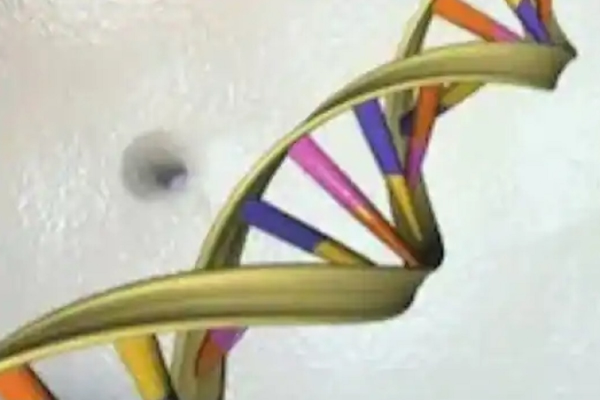 फक्त एका Blood test मुळे वाचू शकतो कोरोना रुग्णांचा जीव; आधीच समजणार मृत्यूचा धोका किती?