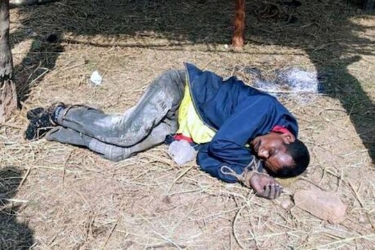 माथेफिरू मुलानं केली आईची निर्दयी हत्या; त्यानंतर अंगणात मृतदेह जाळला आणि त्यावर कोंबडी भाजून खाल्ली