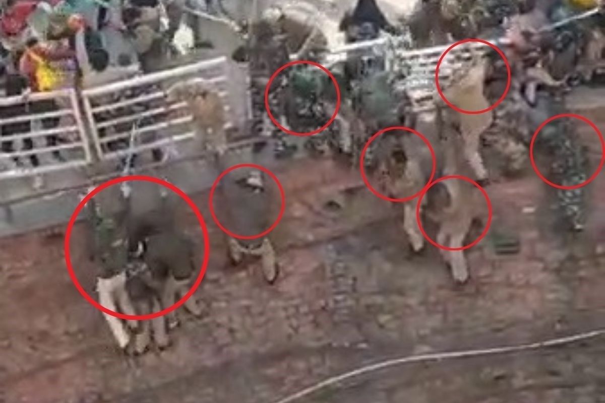लाल किल्ल्यावरील पोलीस व जवानांवर भीषण हल्ल्याचा Live Video; जीव वाचवण्यासाठी किल्ल्यावरुन टाकल्या उड्या